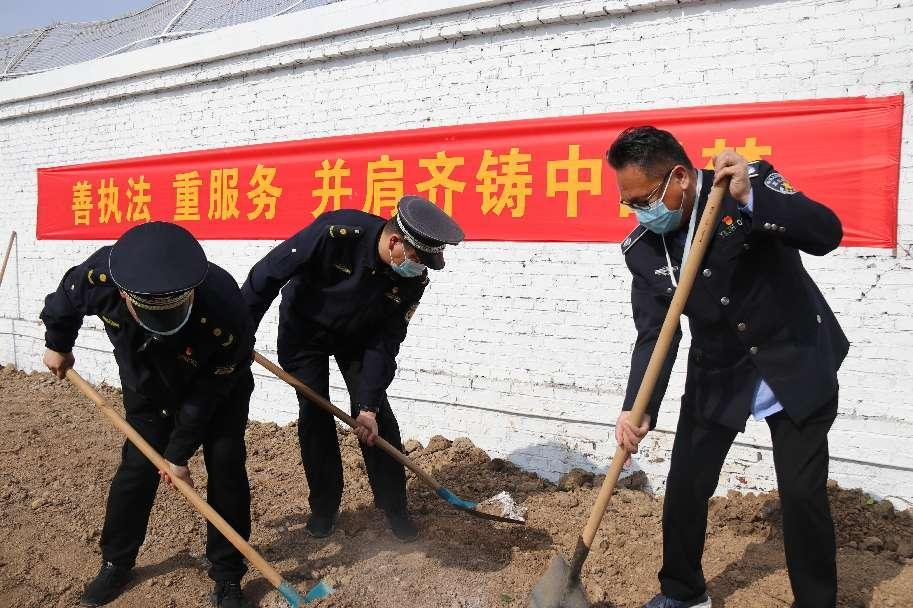 图片5