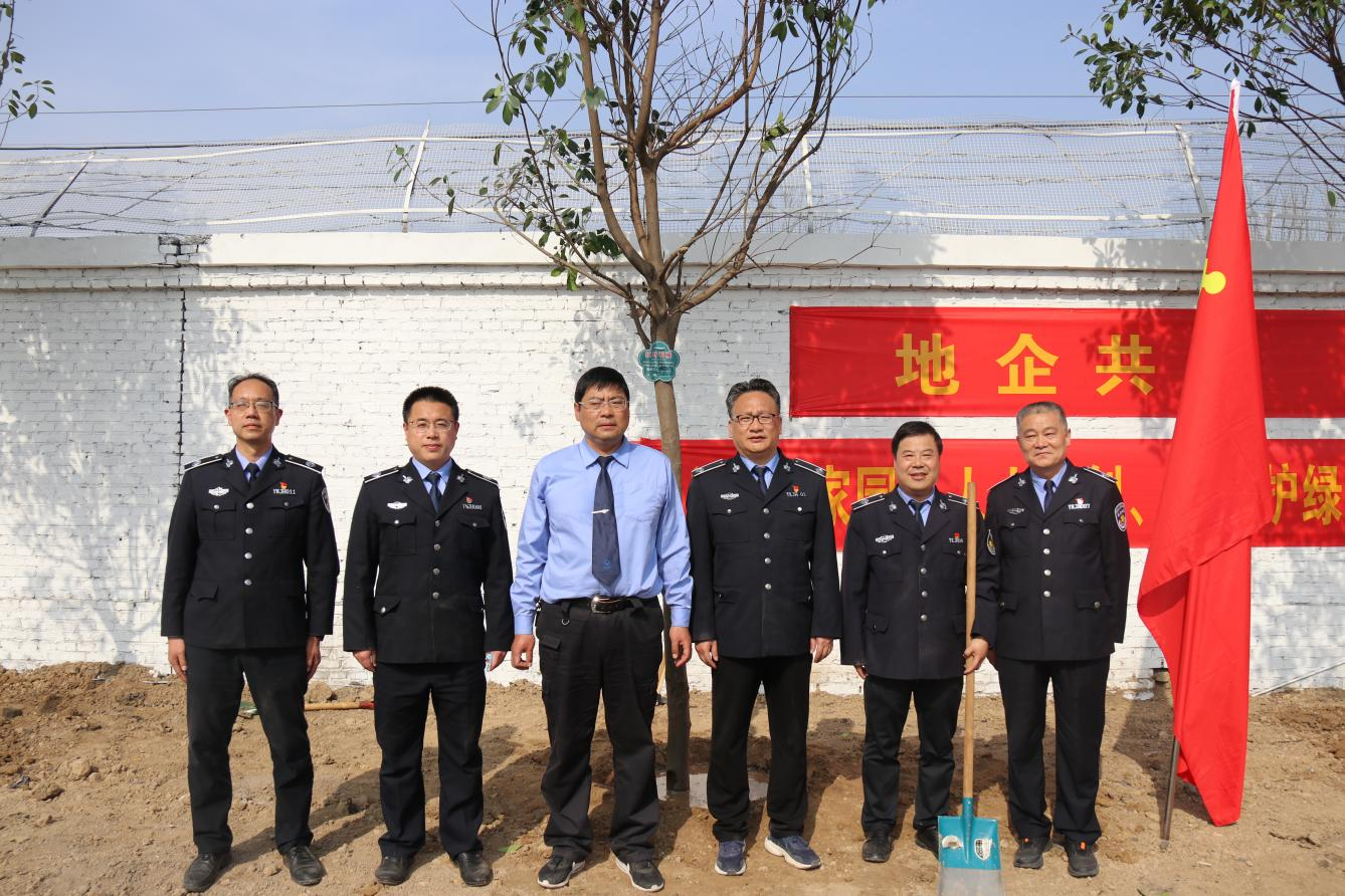 图片17