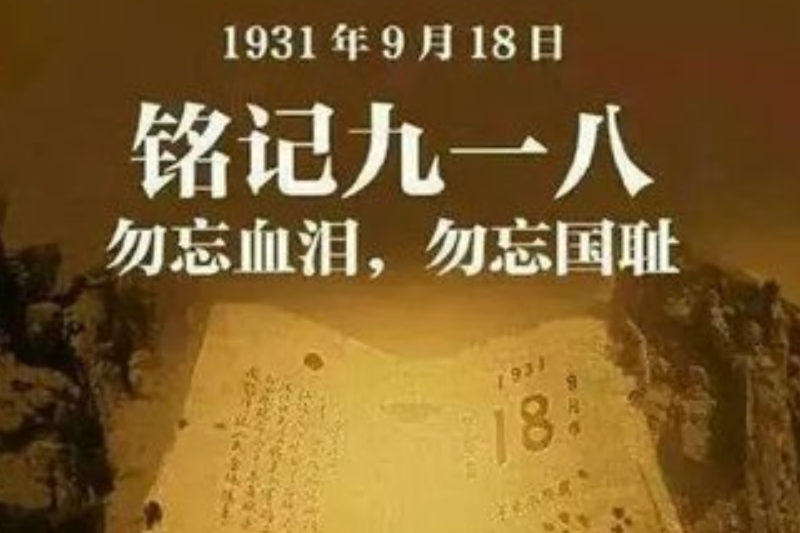 图片8