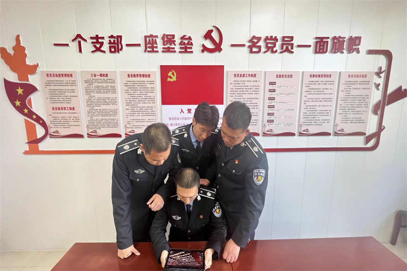 图片1