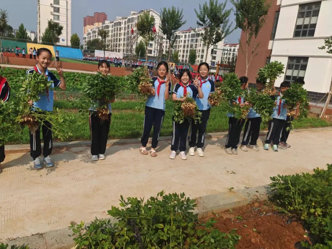 费县:鲁公小学开展"花样童年 趣味横生"活动
