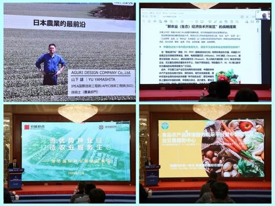 微信图片_20221212164645