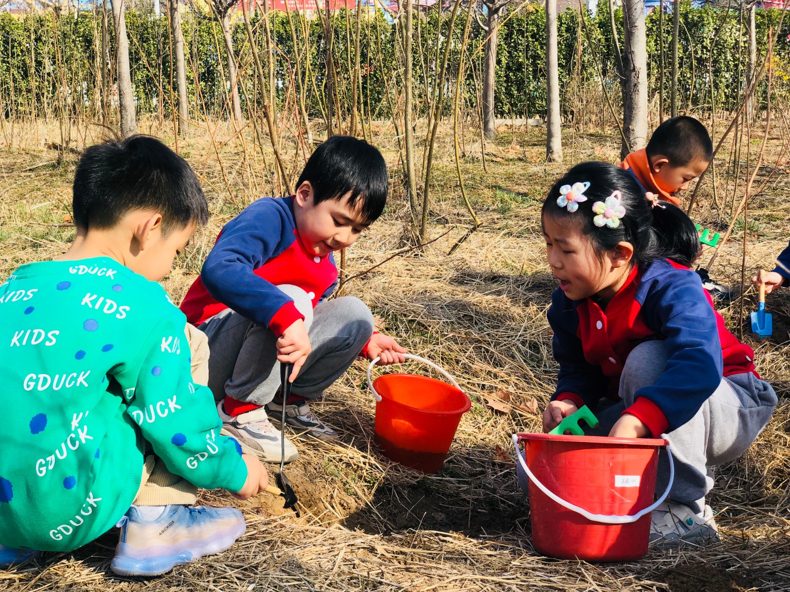 微信图片_20230313165251