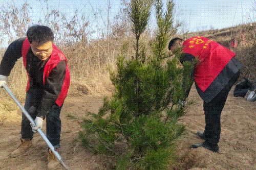 亭南植树.gif 图片