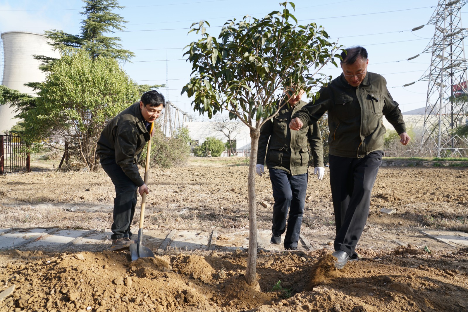 d61b34e2fbb072b44b58bfd0375dbc7