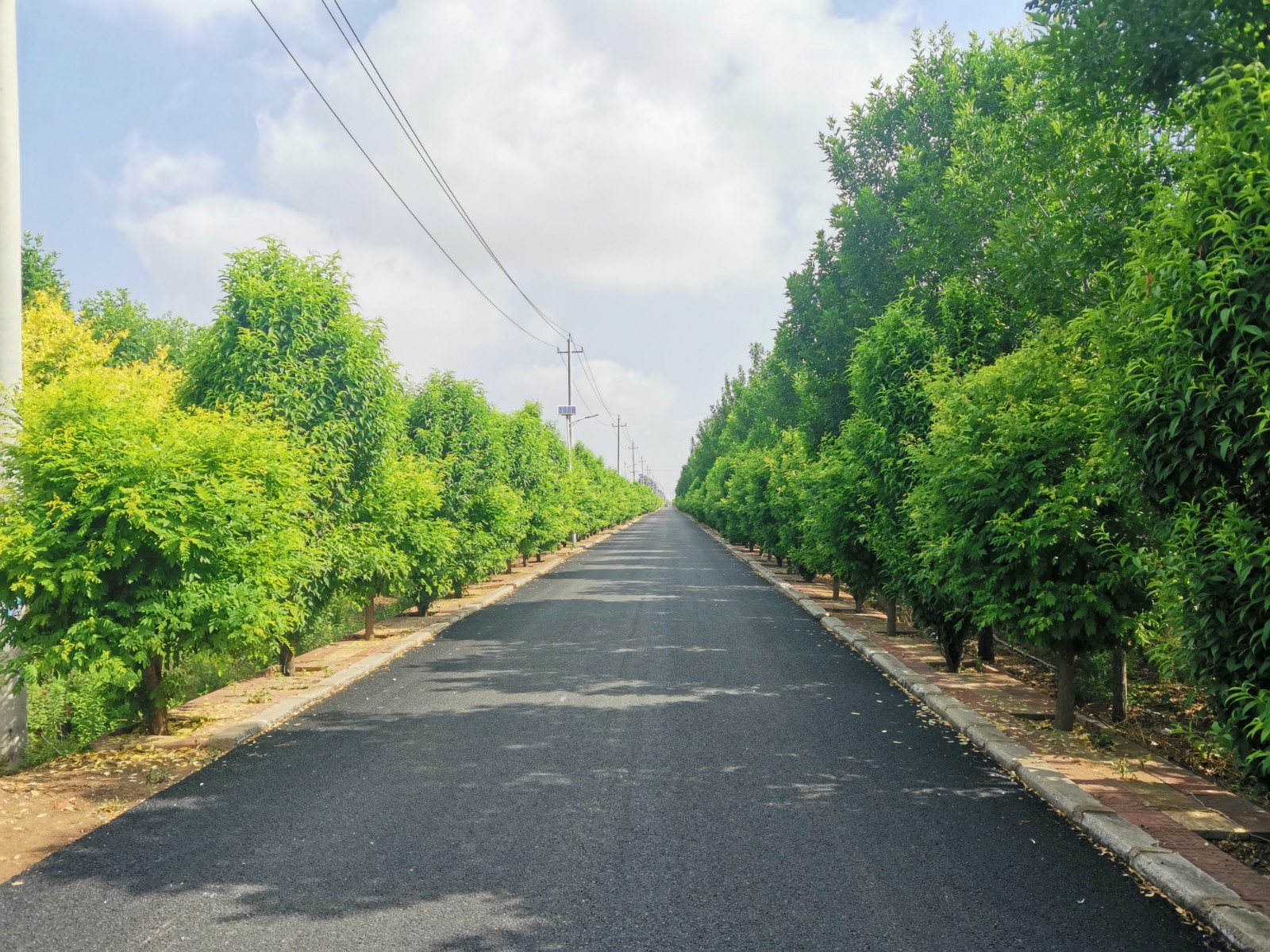 美丽乡村处处新昌邑市都昌街道美丽乡村建设掠影