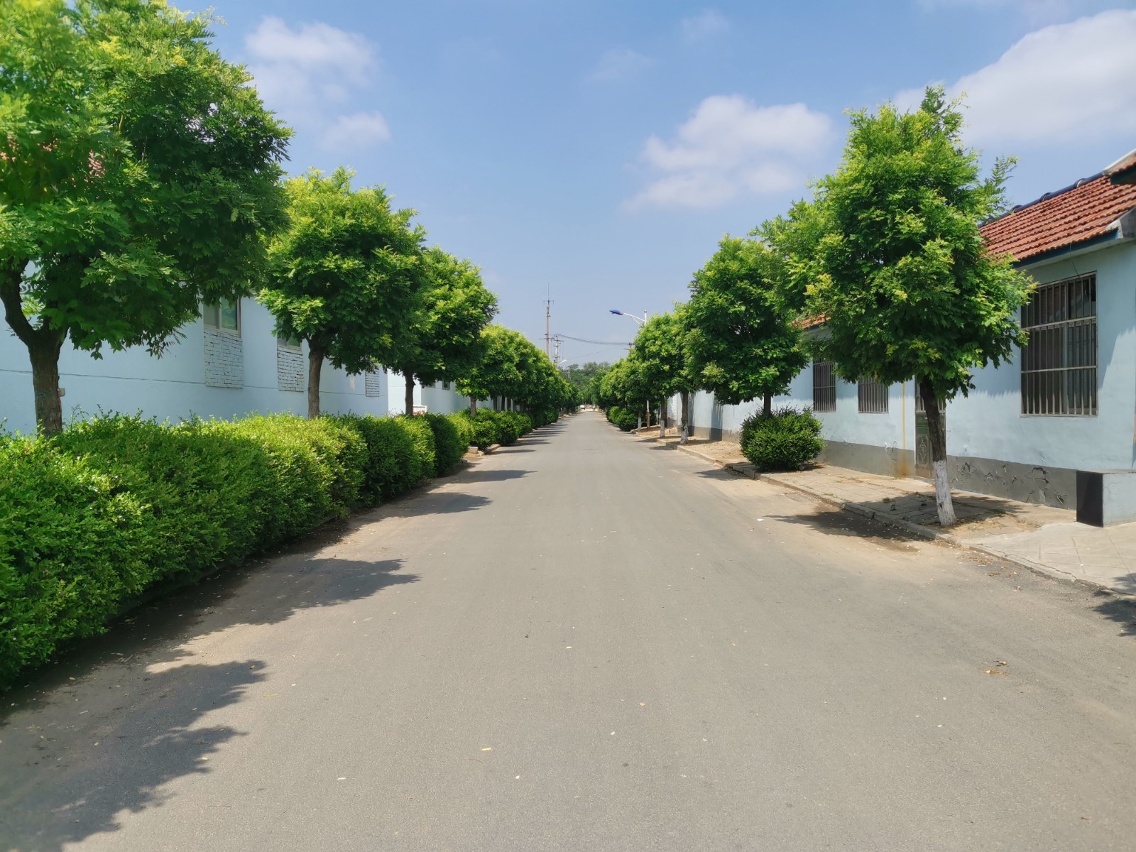 美丽乡村处处新昌邑市都昌街道美丽乡村建设掠影