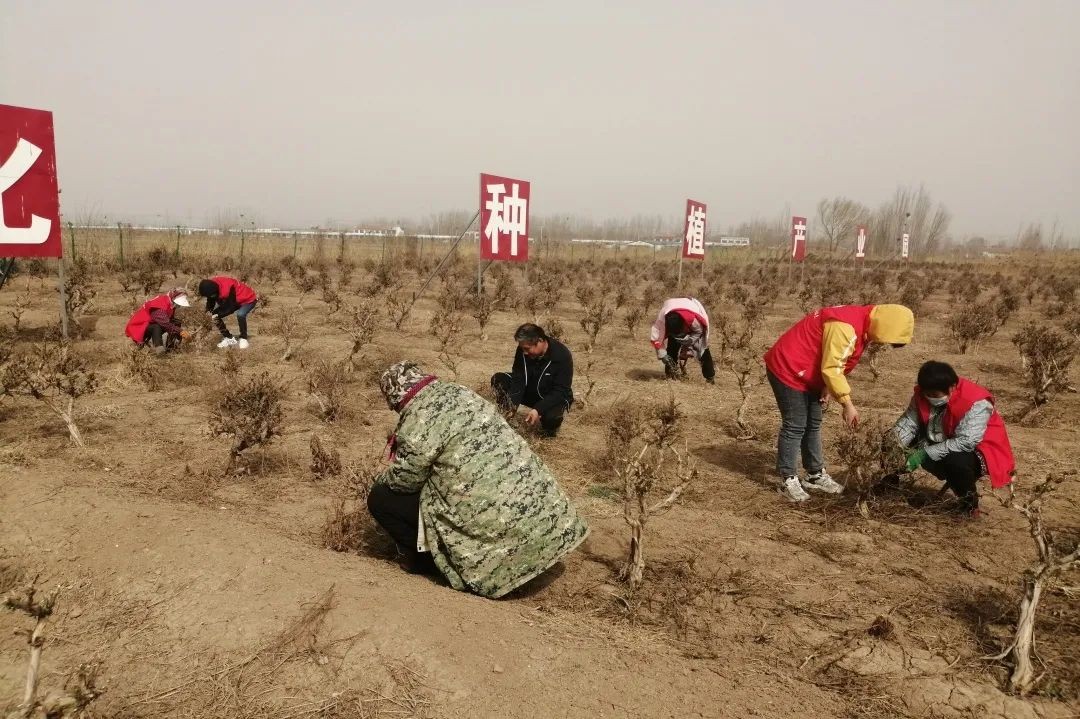 微信图片_20220309145400