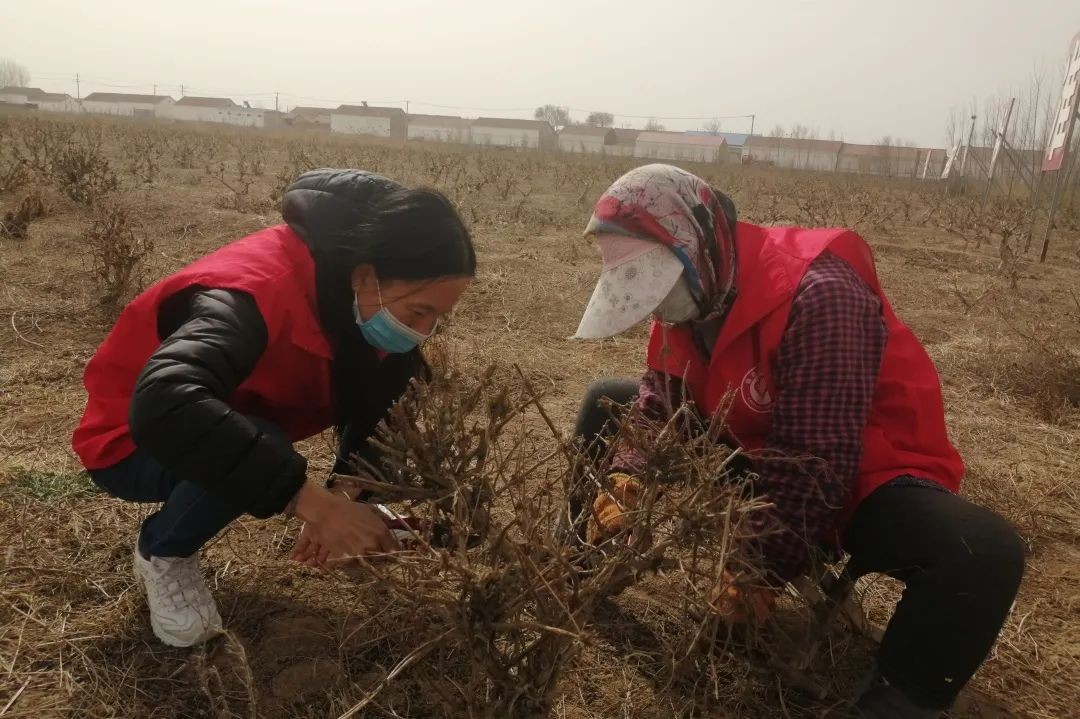 微信图片_20220309145405