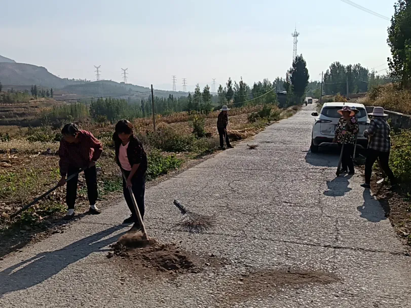 新泰市石莱镇:深化"三新治理"模式 走出基层治理新路径