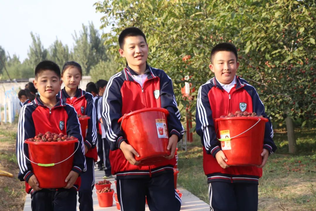 高青县第五中学组织举行山楂采摘节
