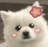 1667306395812.png