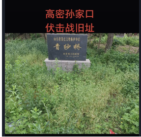 处理情况02东北乡社区党委反馈:经现场调查,发现孙家口惨案遗址附近
