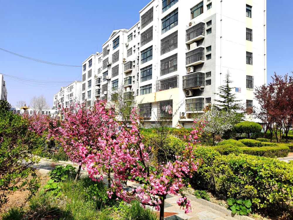 当前位置:>首页>图文列表>新闻详情>10康馨家园11盛世华府12罗府新城