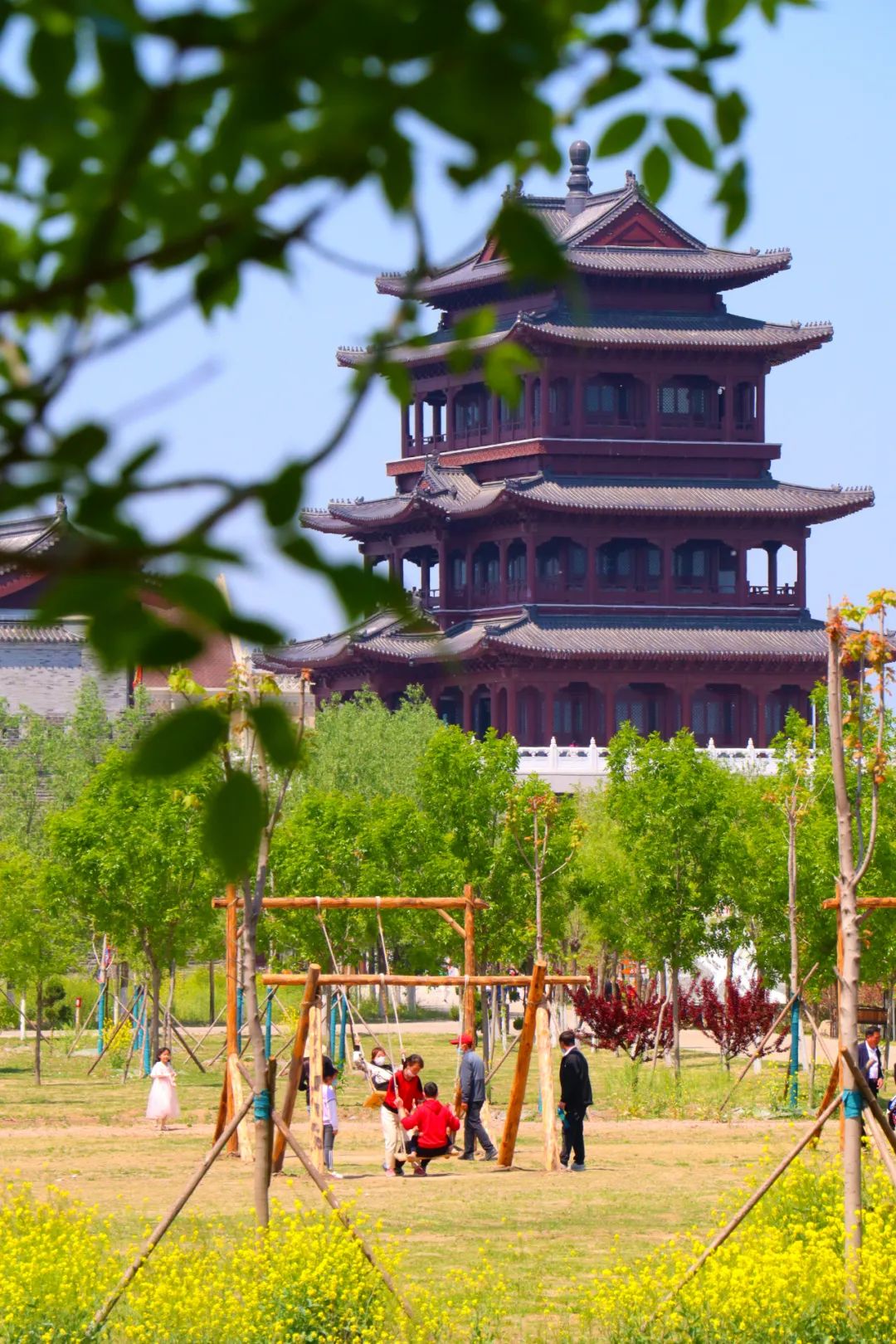 提升群众满意度 | 来东北乡红高粱影视城"近"享好时光!-高密融媒网