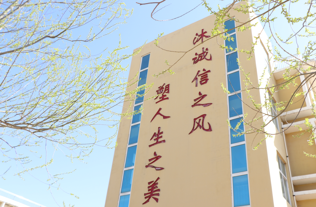 重大喜讯东北乡至诚学校入围潍坊市2022年学生信息素养活动报省评名单