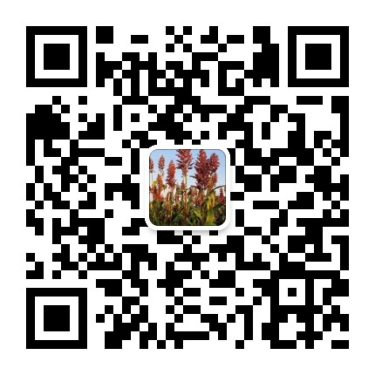 qrcode_for_gh_f8d1122795bd_1280.jpg